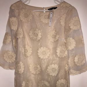 Sheer arm details. Cream color. Never been worn!